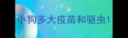 小狗多大疫苗和驱虫