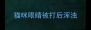 猫咪眼睛被打后浑浊
