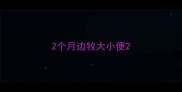 2个月边牧大小便