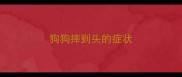 狗狗摔到头的症状