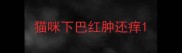 猫咪下巴红肿还痒