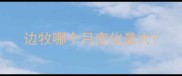 边牧哪个月变化最大