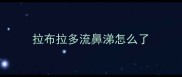 拉布拉多流鼻涕怎么了