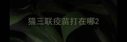 猫三联疫苗打在哪