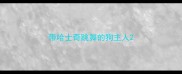 带哈士奇跳舞的狗主人