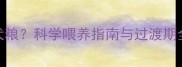 狗狗多大开始吃成犬粮科学喂养指南与过渡期全附换粮时间表