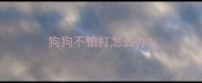 狗狗不怕打怎么办