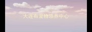 大连有宠物领养中心