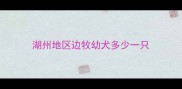 湖州地区边牧幼犬多少一只