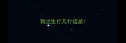 狗出生打几针疫苗
