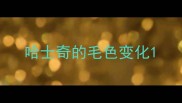 哈士奇的毛色变化