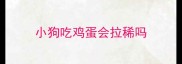 小狗吃鸡蛋会拉稀吗