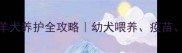 30天小牧羊犬养护全攻略幼犬喂养疫苗训练指南