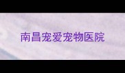 南昌宠爱宠物医院