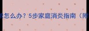猫咪伤口化脓怎么办5步家庭消炎指南附护理误区