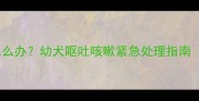 小狗咳嗽干呕呕吐怎么办幼犬呕吐咳嗽紧急处理指南附宠物医生建议