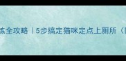 幼猫如厕训练全攻略5步搞定猫咪定点上厕所附避坑指南
