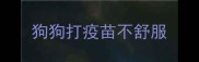 狗狗打疫苗不舒服