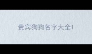 贵宾狗狗名字大全