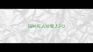 猫咪咬人对着人叫