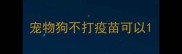 宠物狗不打疫苗可以