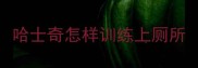 哈士奇怎样训练上厕所