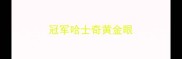 冠军哈士奇黄金眼