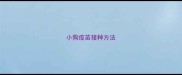 小狗疫苗接种方法