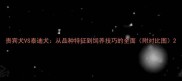 贵宾犬VS泰迪犬从品种特征到饲养技巧的全面附对比图