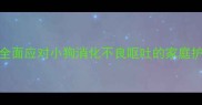 宠物医生教你全面应对小狗消化不良呕吐的家庭护理与就医指南