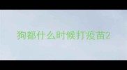 狗都什么时候打疫苗