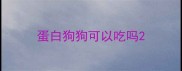 蛋白狗狗可以吃吗