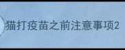 猫打疫苗之前注意事项