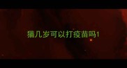 猫几岁可以打疫苗吗