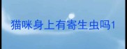 猫咪身上有寄生虫吗