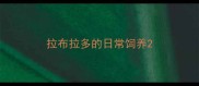 拉布拉多的日常饲养