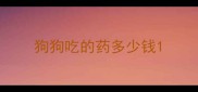 狗狗吃的药多少钱