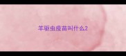 羊驱虫疫苗叫什么