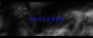 母金毛几岁毛最长
