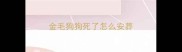金毛狗狗死了怎么安葬