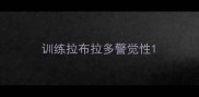 训练拉布拉多警觉性