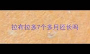 拉布拉多7个多月还长吗