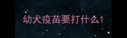 幼犬疫苗要打什么