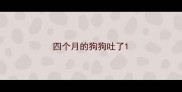 四个月的狗狗吐了