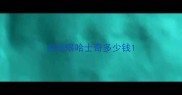 血轮眼哈士奇多少钱