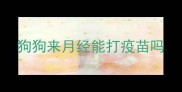 狗狗来月经能打疫苗吗