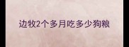 边牧2个多月吃多少狗粮