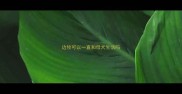 边牧可以一直和母犬生活吗