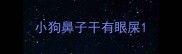 小狗鼻子干有眼屎