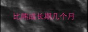 比熊成长期几个月